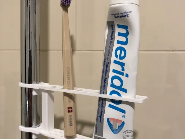 Shower Toothbrush Holder