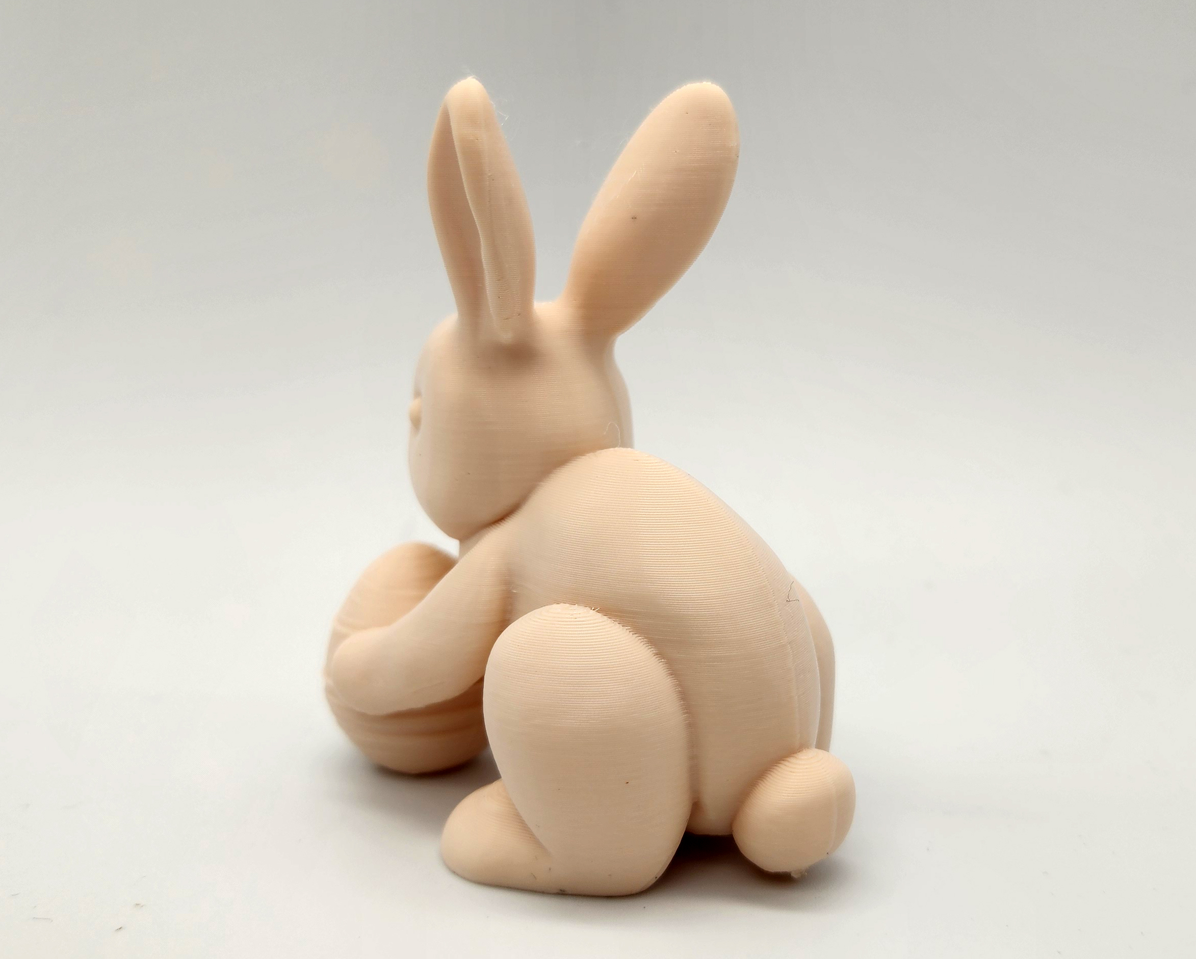 Miniatura 4 do modelo 3D Bunny with Easter Egg