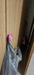 Closet Door Handle