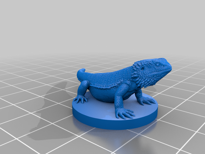 Bearded Dragon