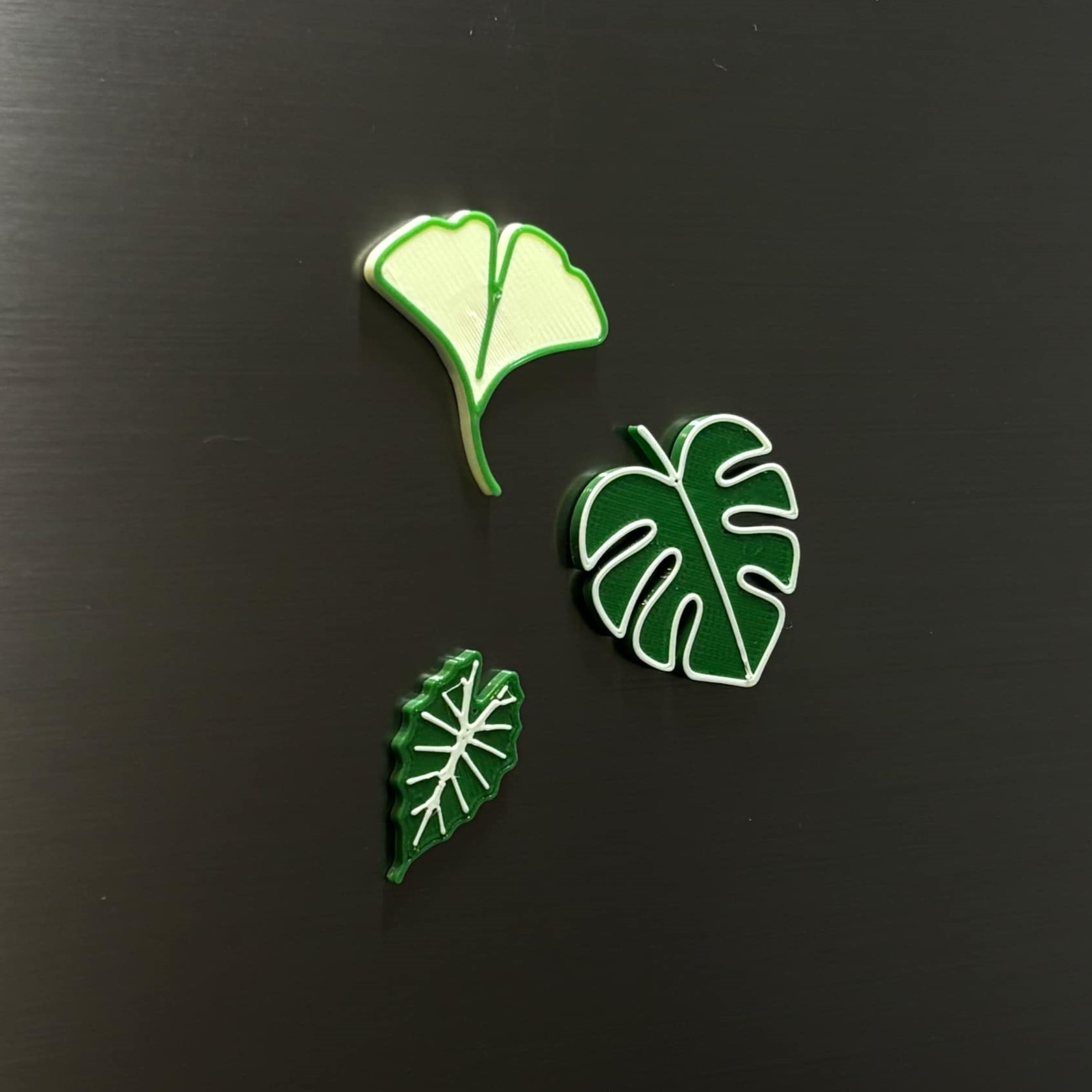 Miniatura 2 do modelo 3D Monstera Leaf Magnet