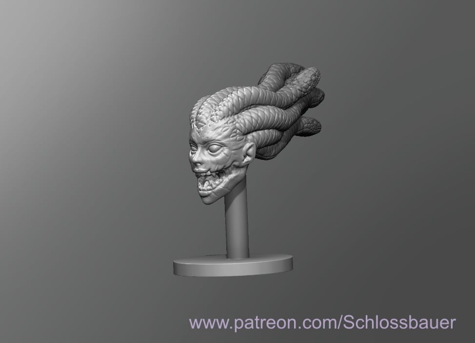 Castlevania Medusa Head
