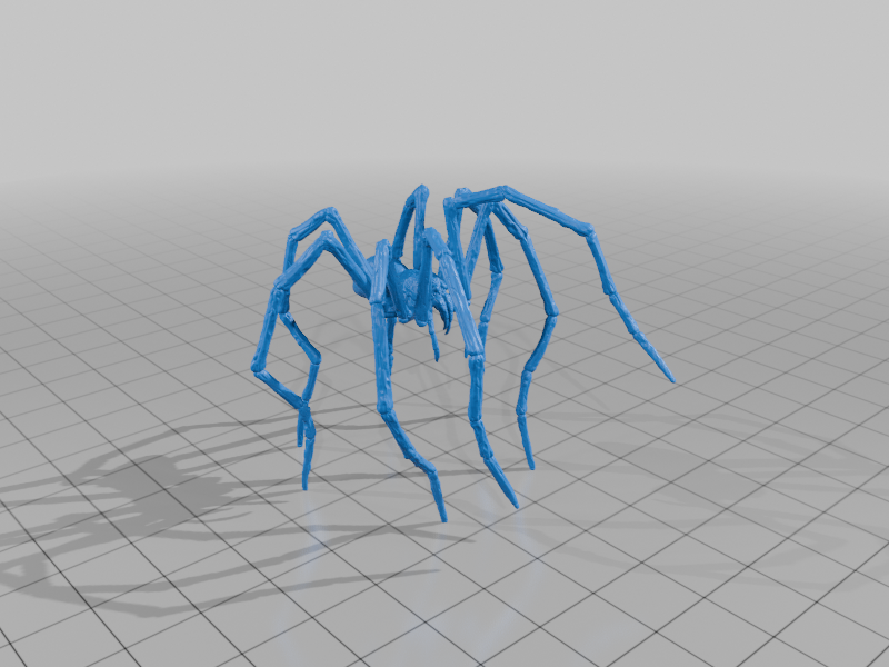 Tomb Spider