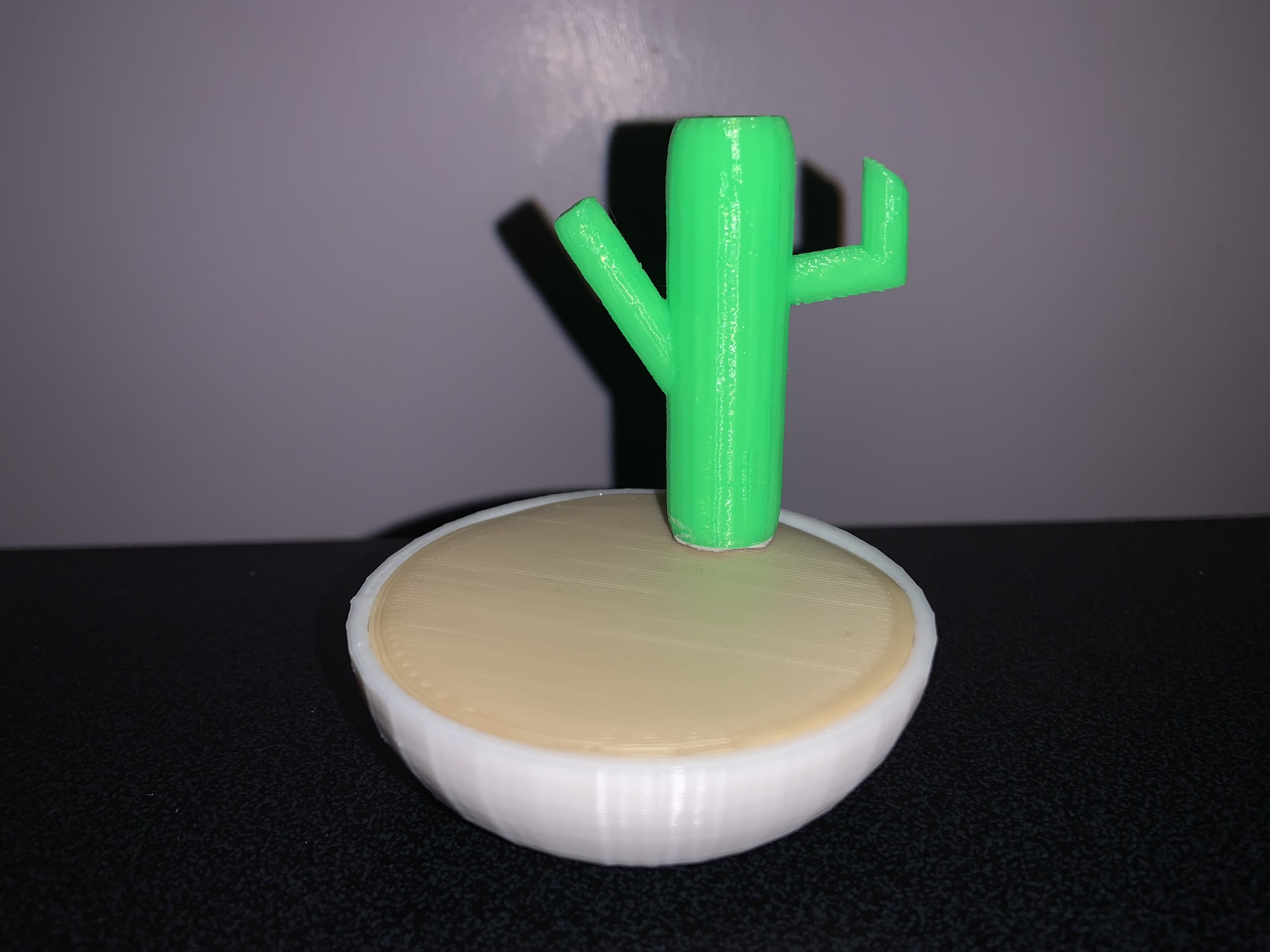 Minimalist Fake Cactus