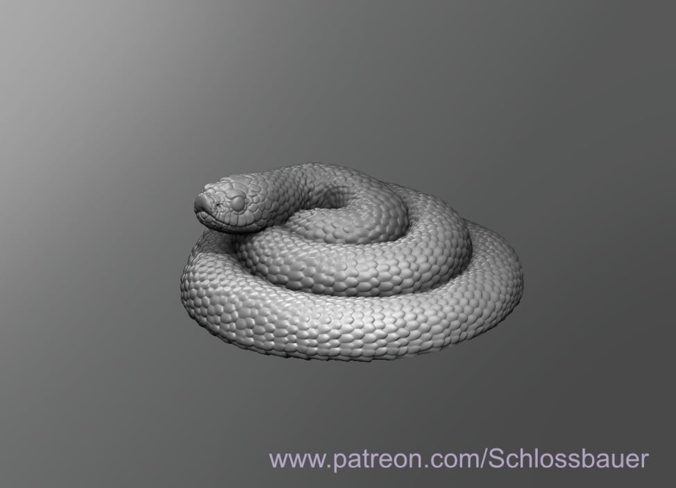 Hognose Snake