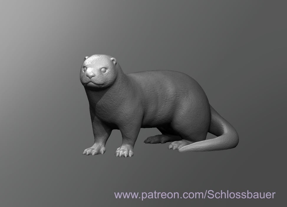 Otter
