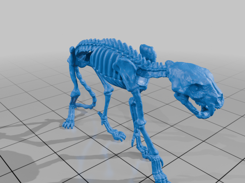 Leopard Skeleton — miniatura 2