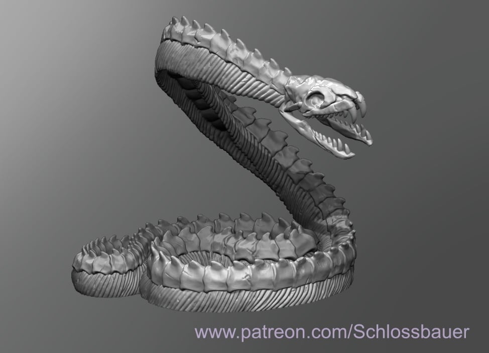 Giant Snake Skeleton