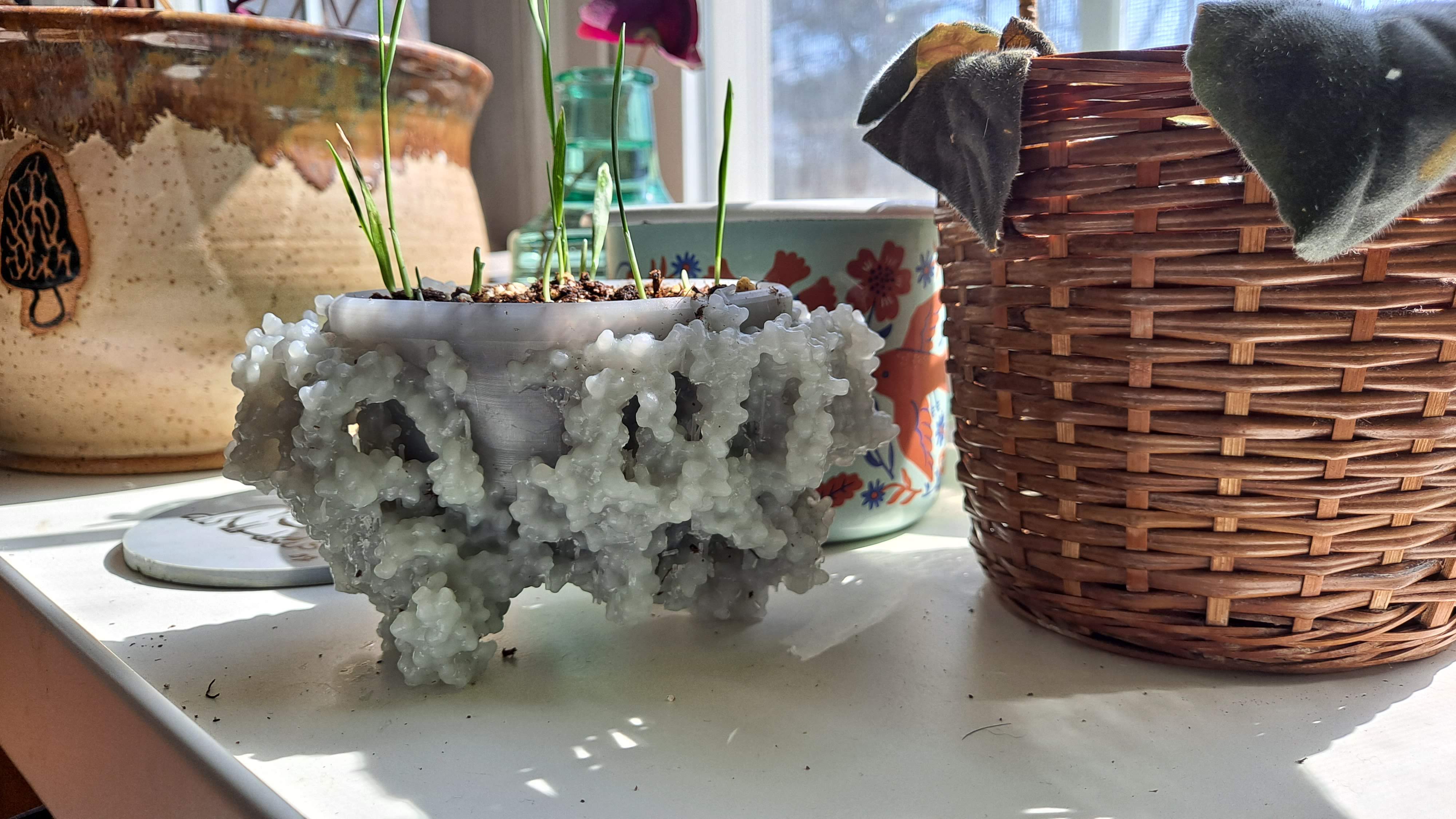 Photosystem II planter