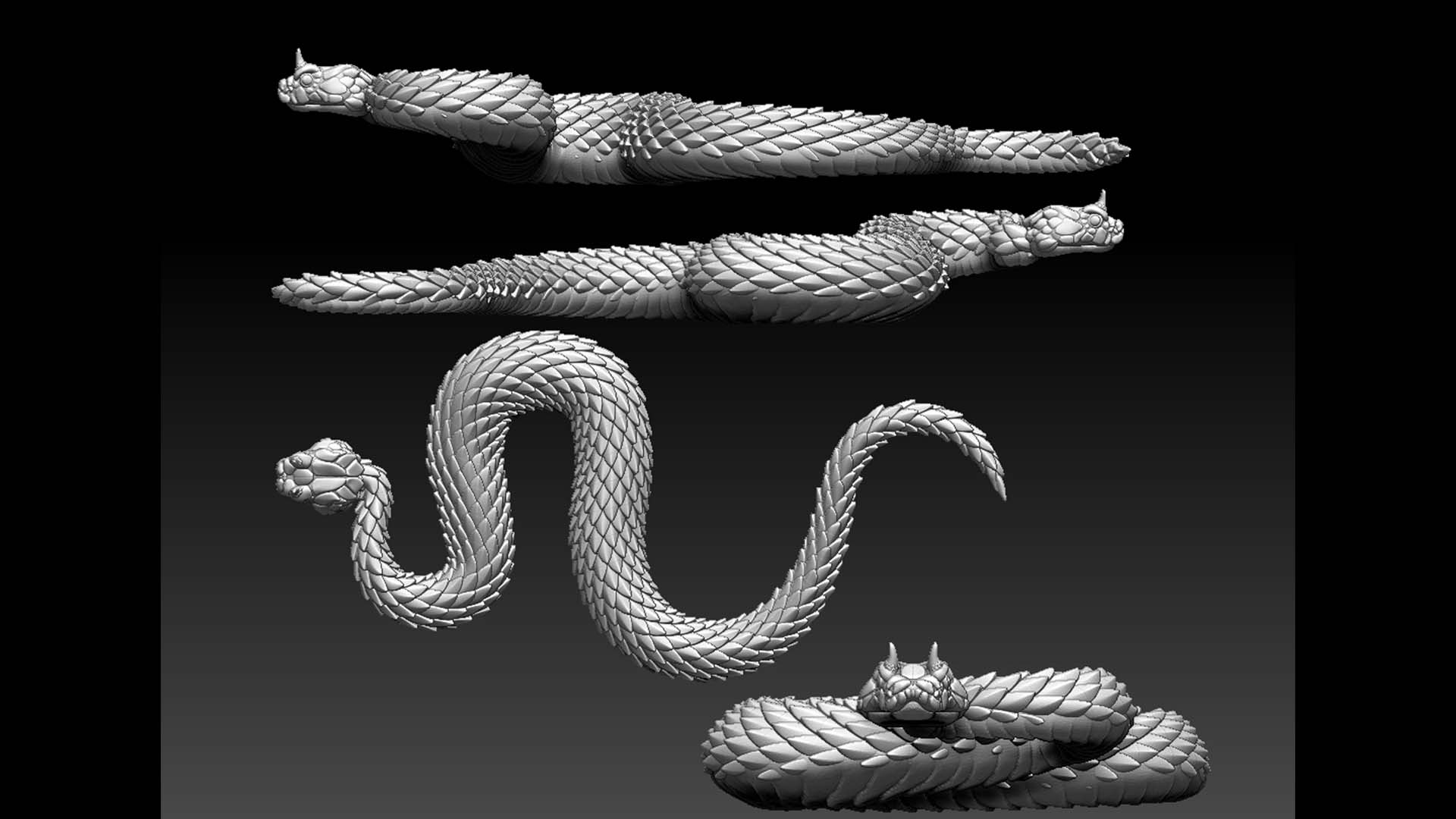 snake — thumbnail 7