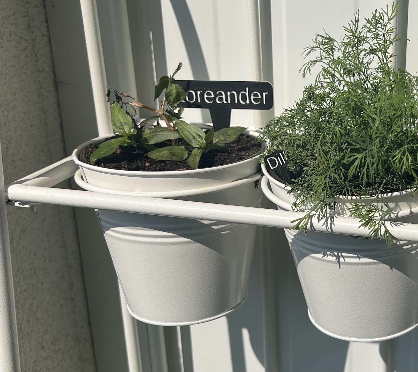 Customizable easy (plant) signs