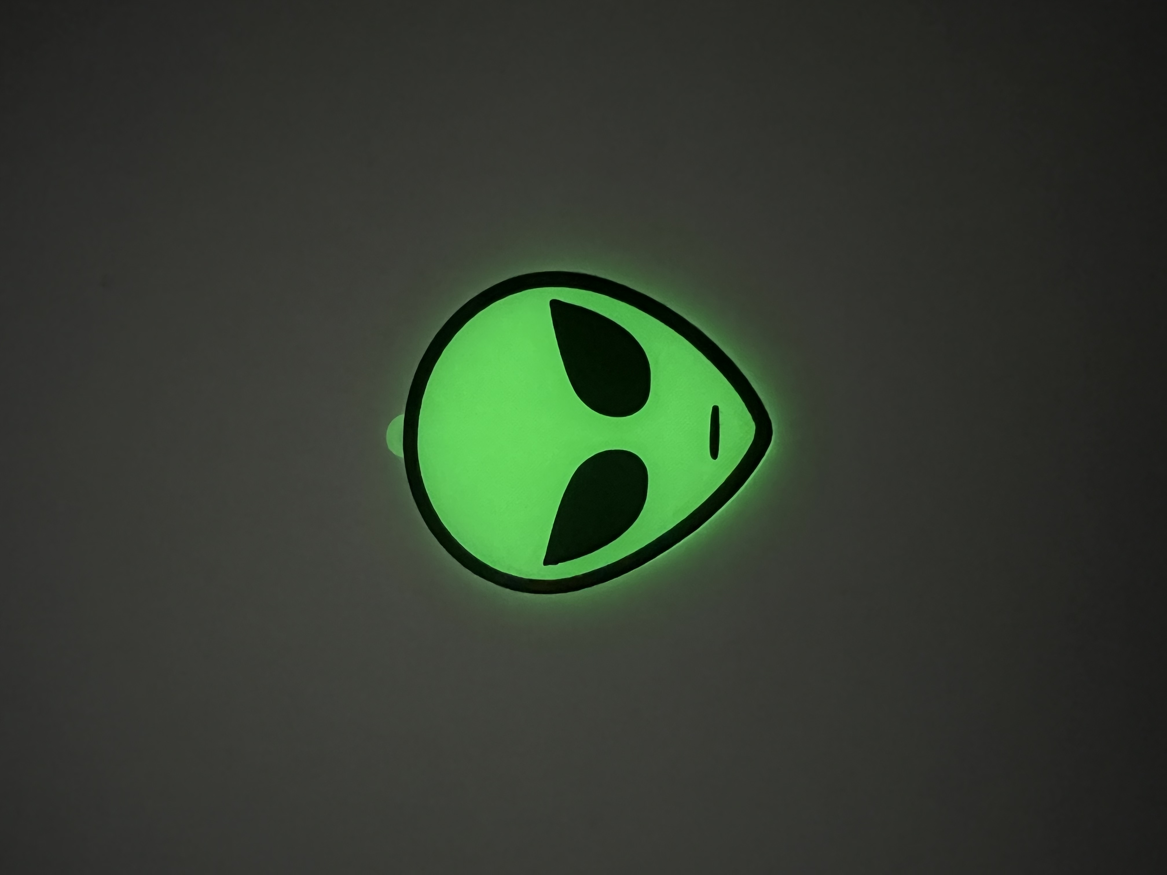 Alien Face and Keychain