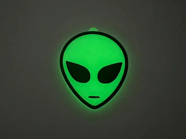 Alien Face and Keychain