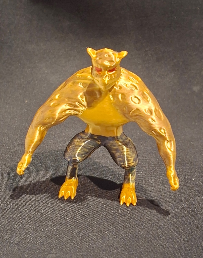 Leopard Fruit Transformation — miniatura 3