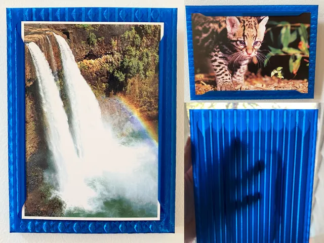 Vase Mode Picture Frame