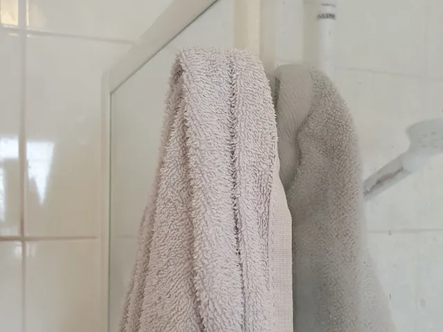 Shower hanger