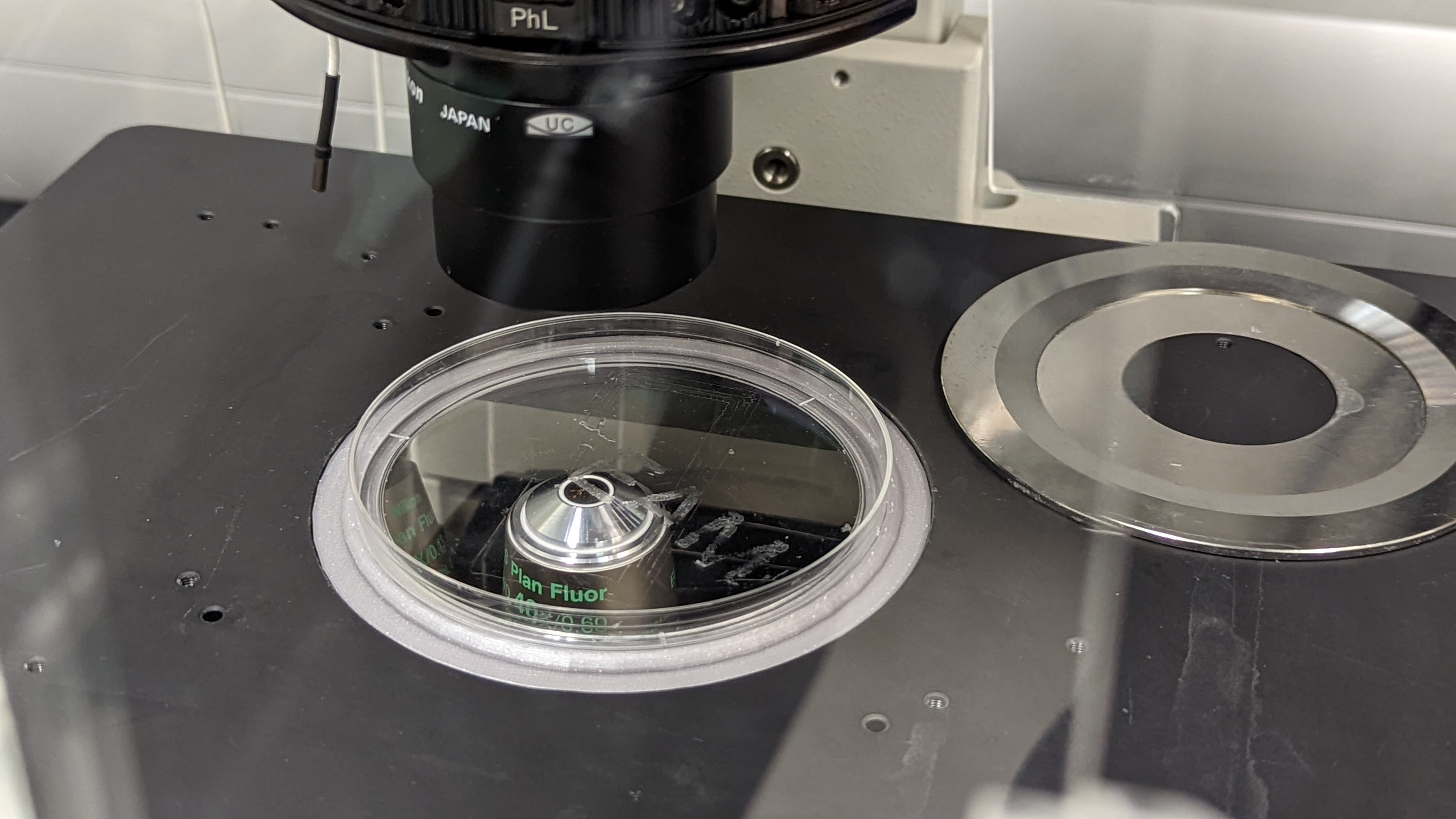 Petri Dish Lid Holder for Microscopes