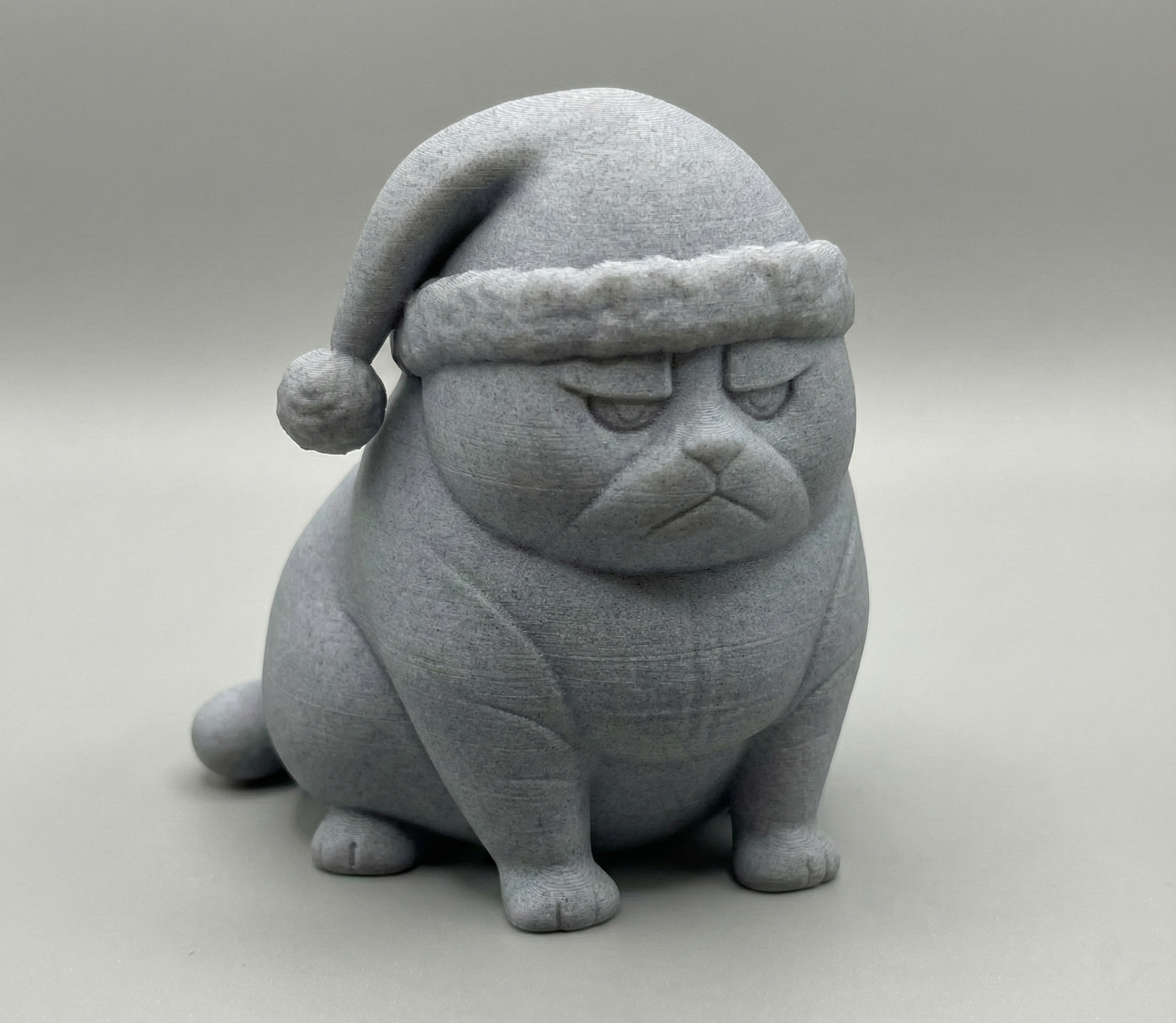 Grouchy Christmas Cat