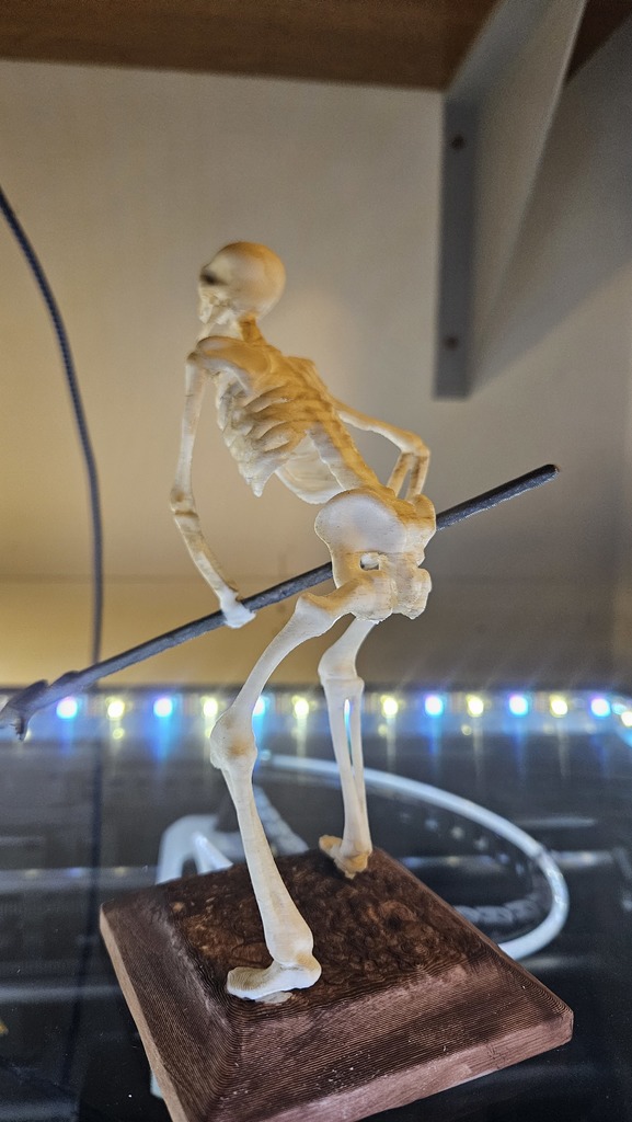 Skeleton Warrior #6 from Jason and the Argonauts