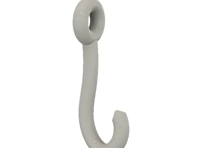 Fishhook for wall