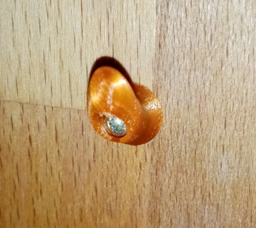 Very Little Hook