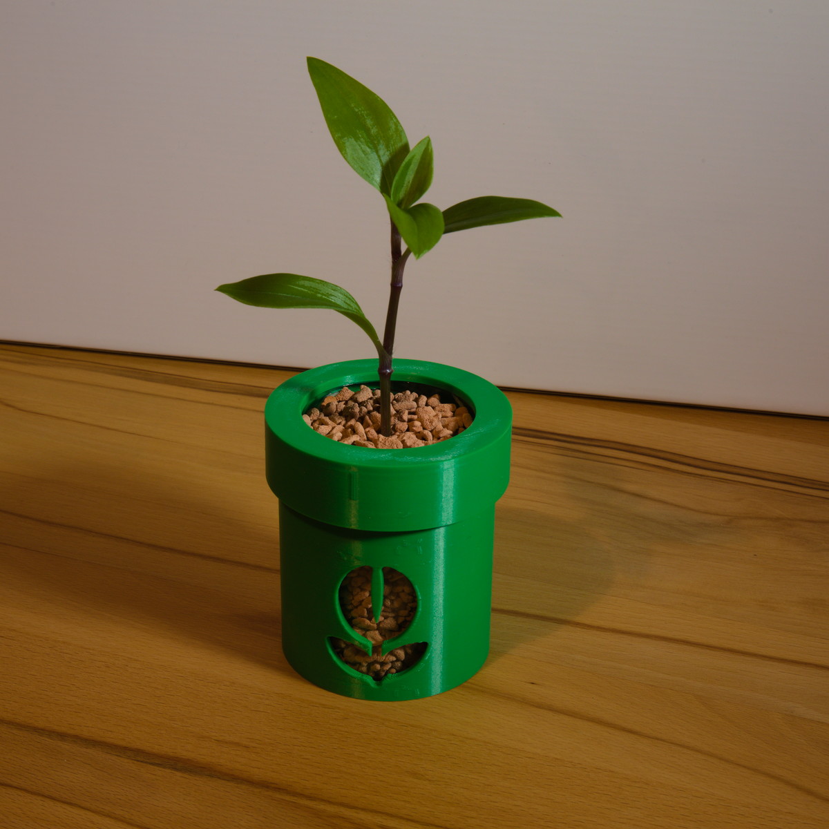 Hydroponic Plant Pot (Mario Tube Style)