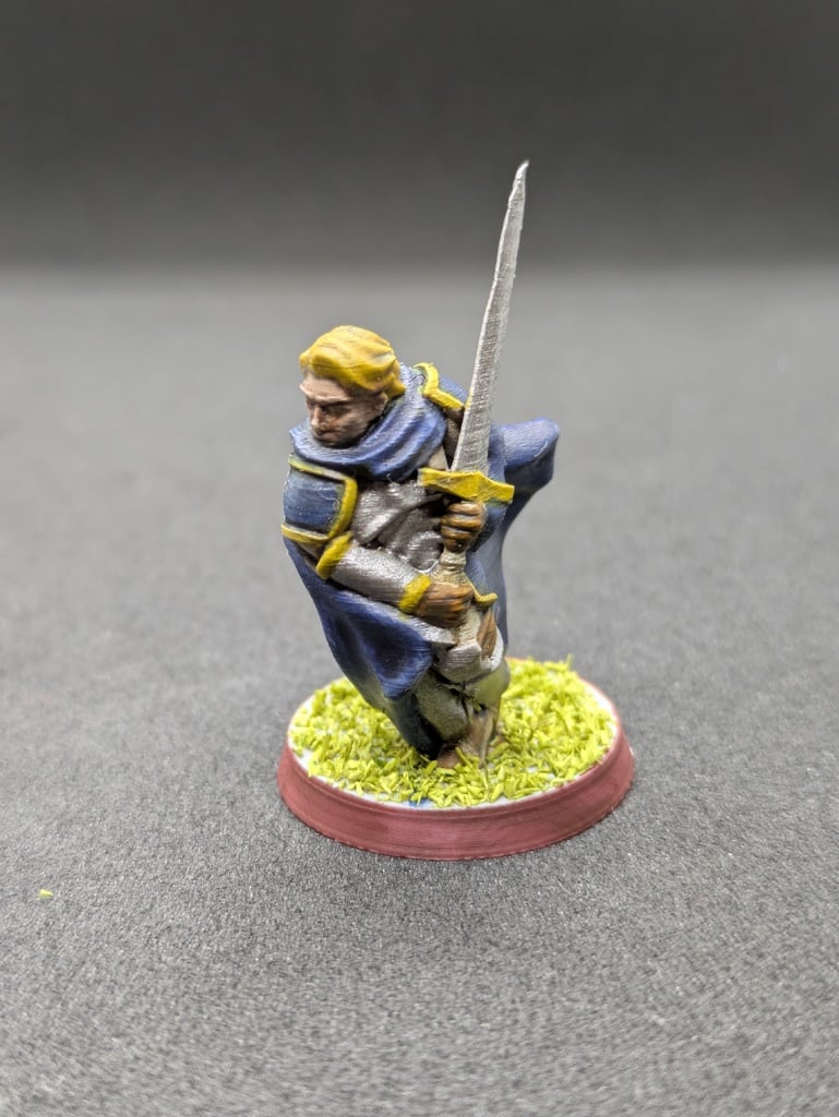 Human Paladin FDM supportless