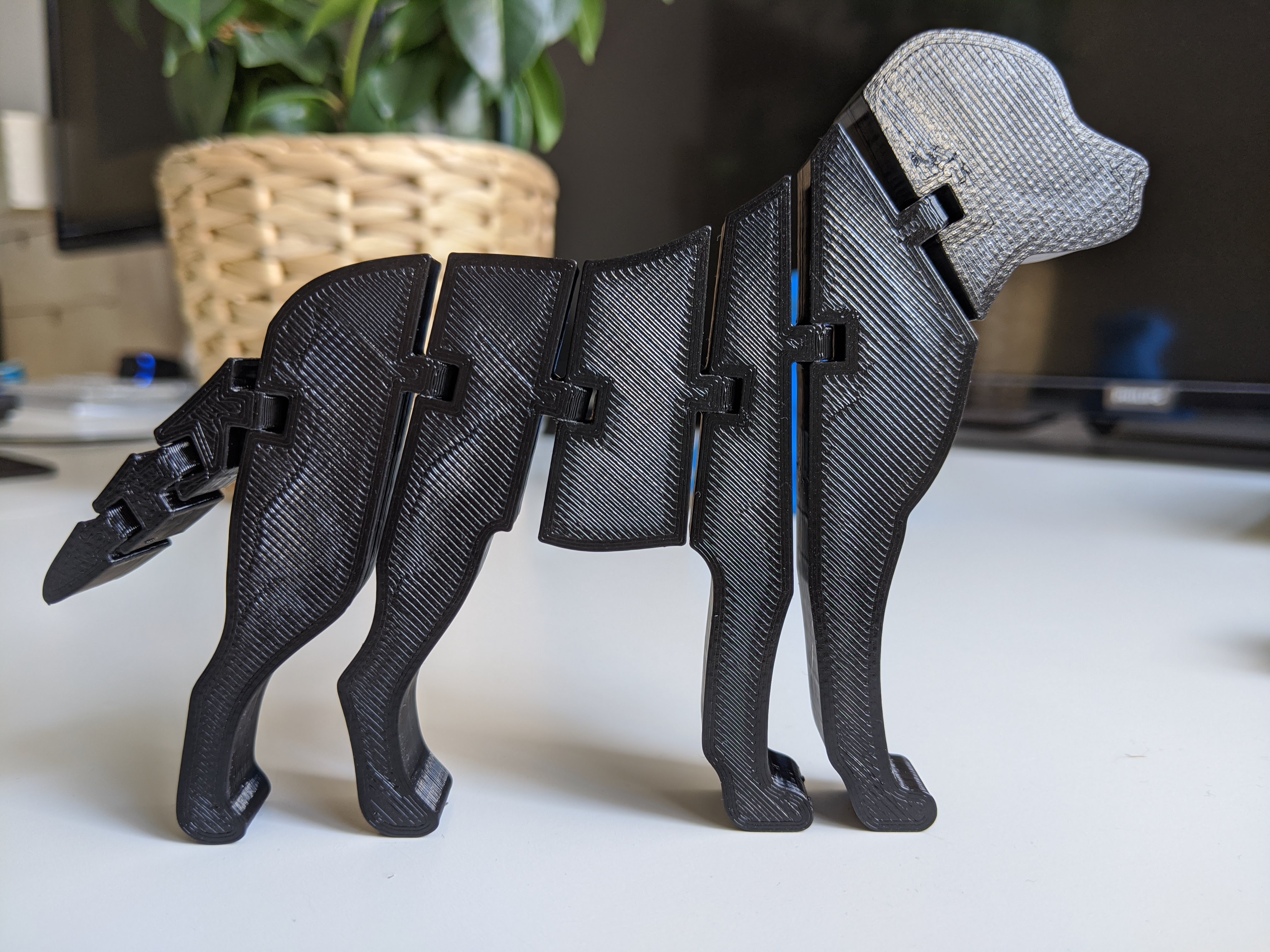 Flexi Labrador