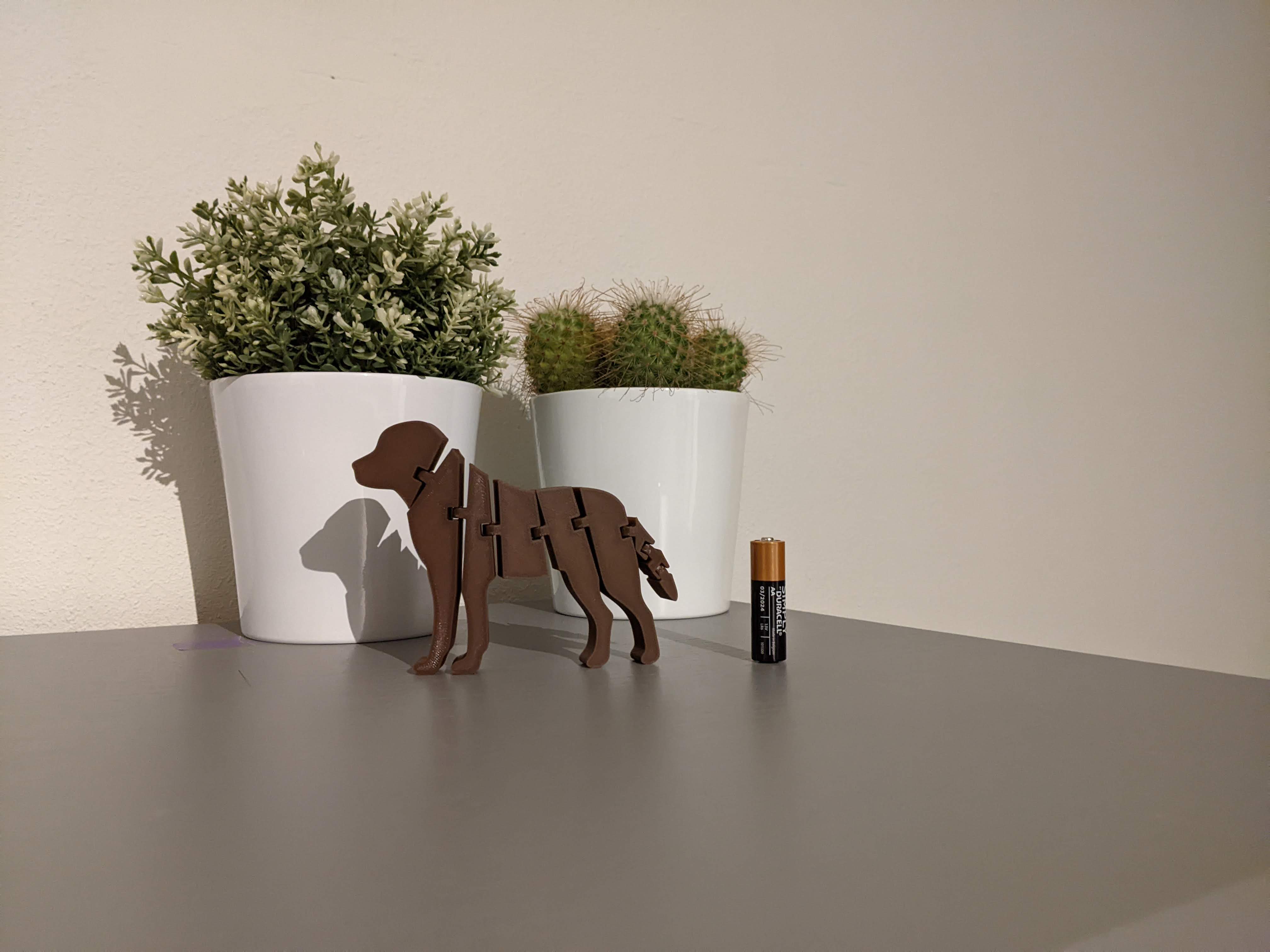 Flexi Labrador — miniatura 2