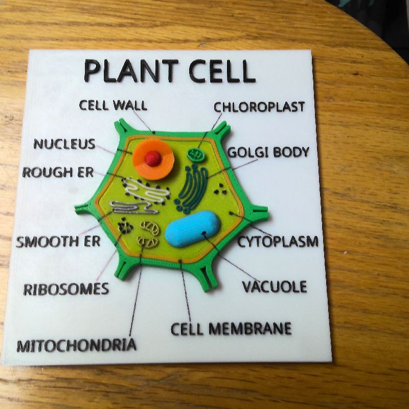 plant-cell-organells-by-jetthruster-download-free-stl-model-printables-com