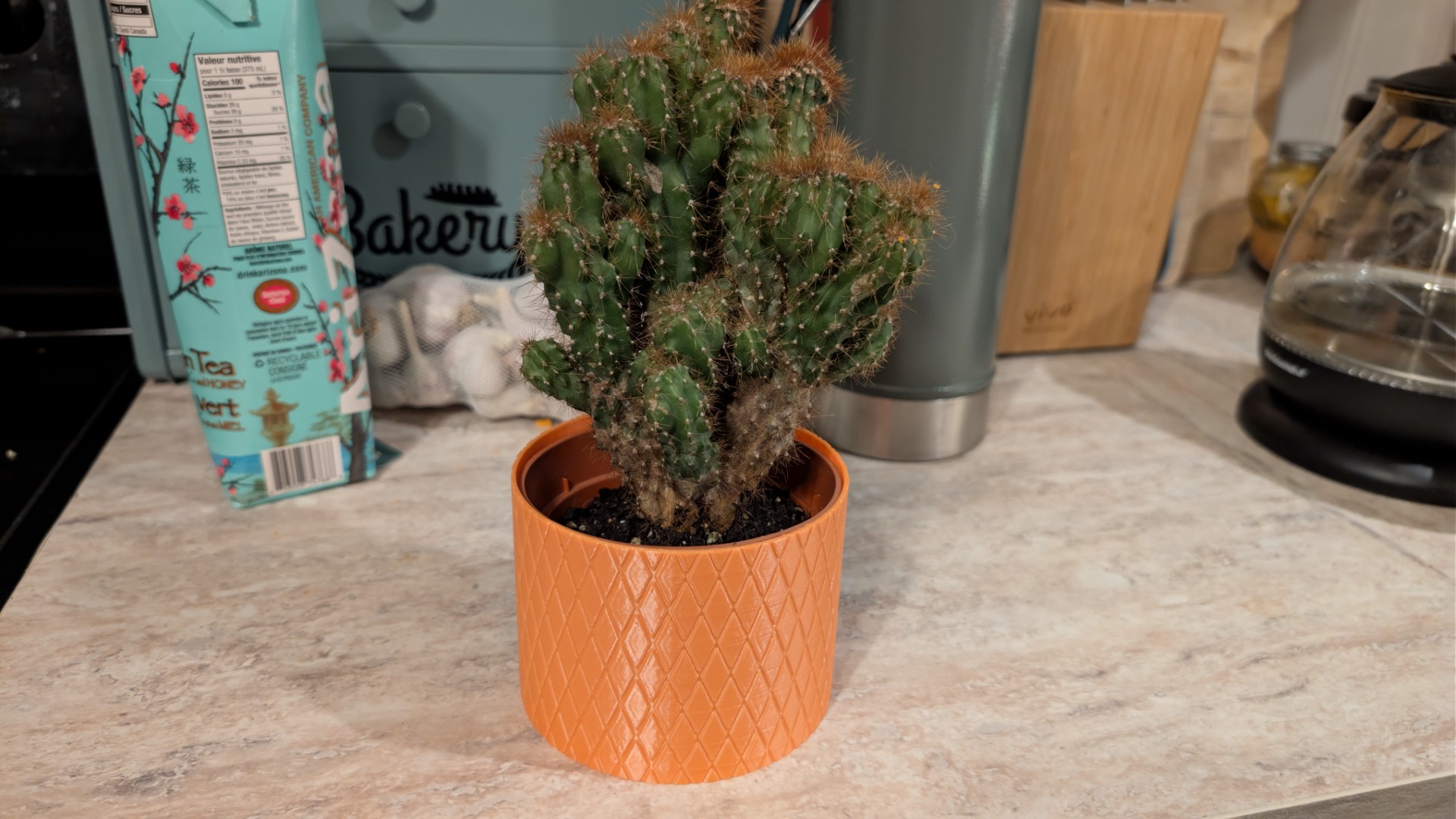 Textured Knurled Flower Pot - Modern Cactus & Succulent Decor