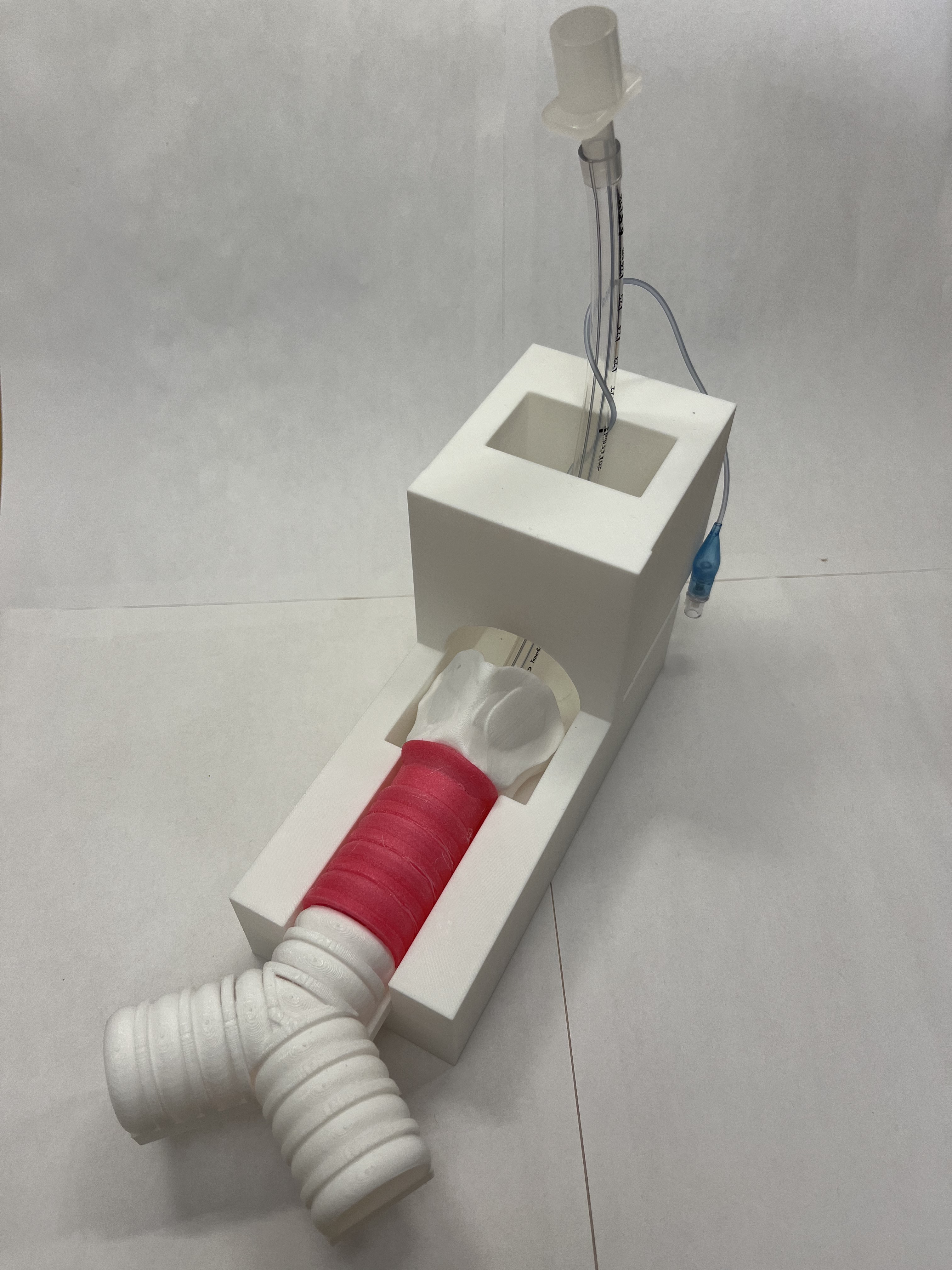 Percutaneous Tracheostomy Task Trainer Version 1