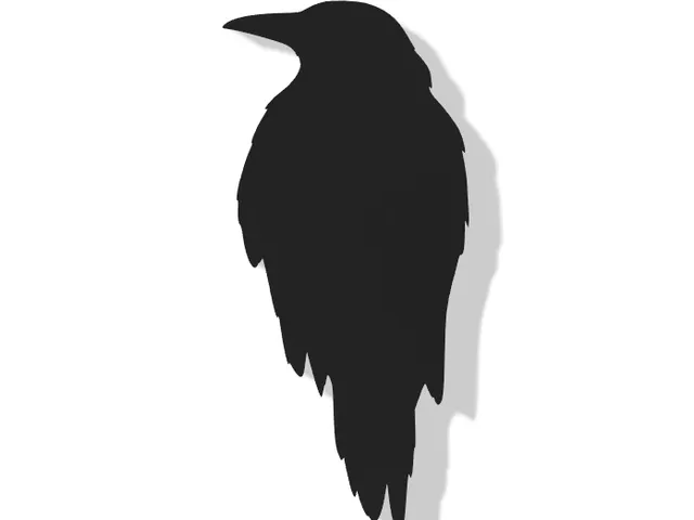 Crow Decor