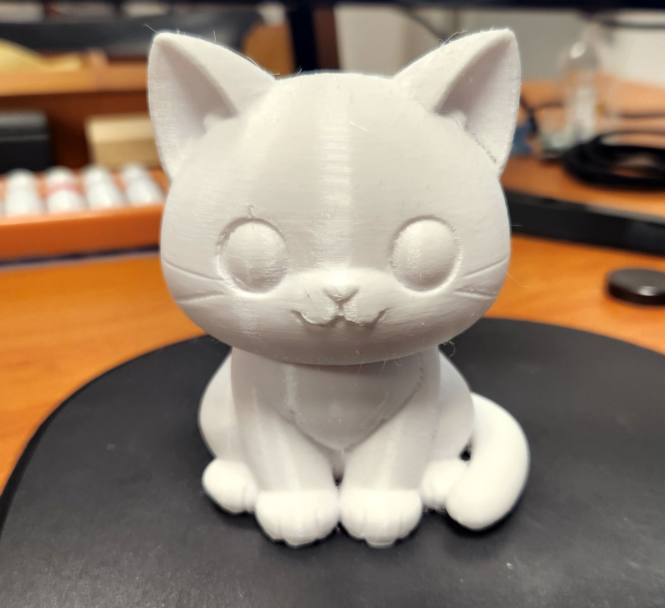 A cute cat