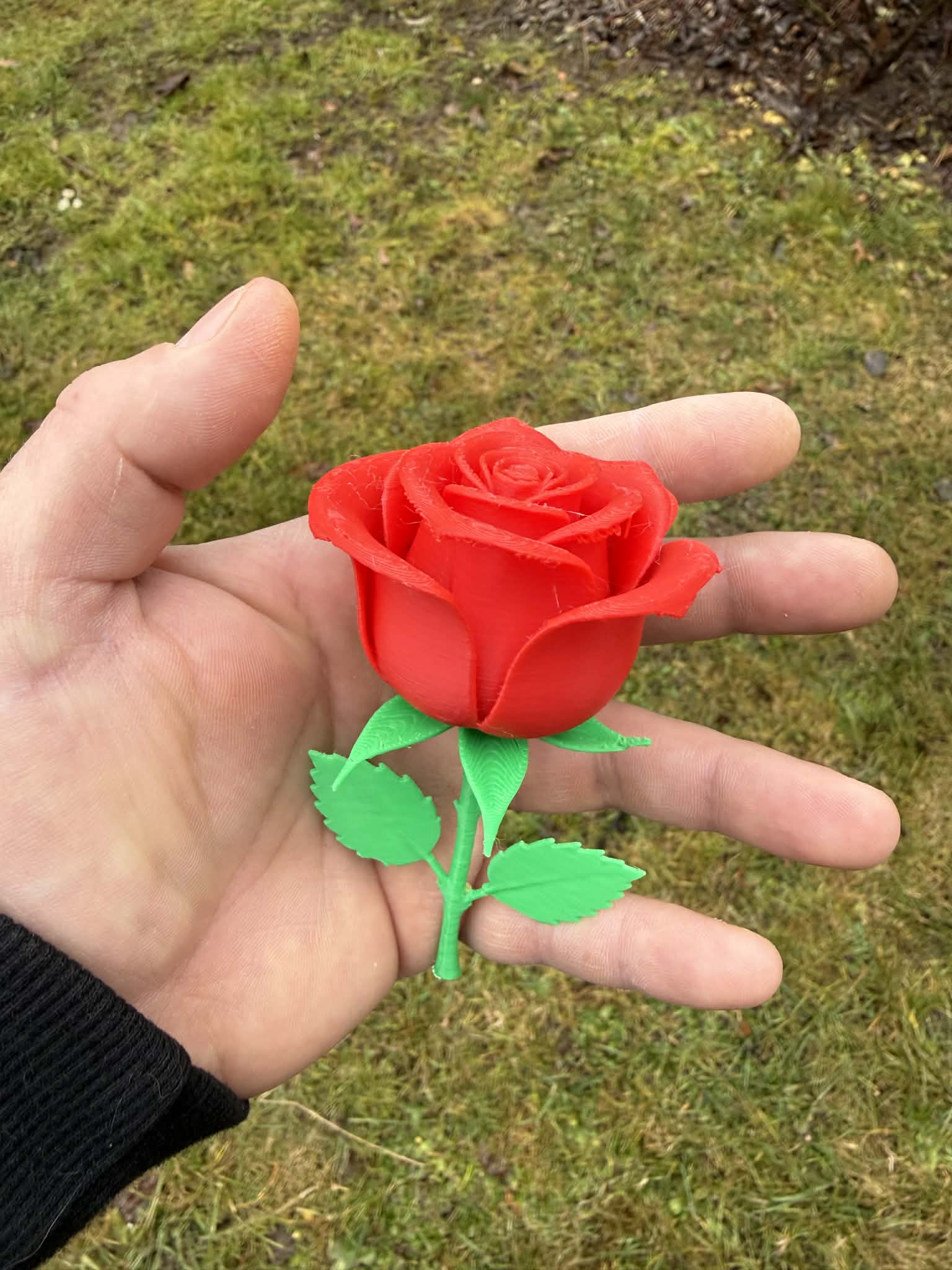 Beautiful realistic Valentine roses