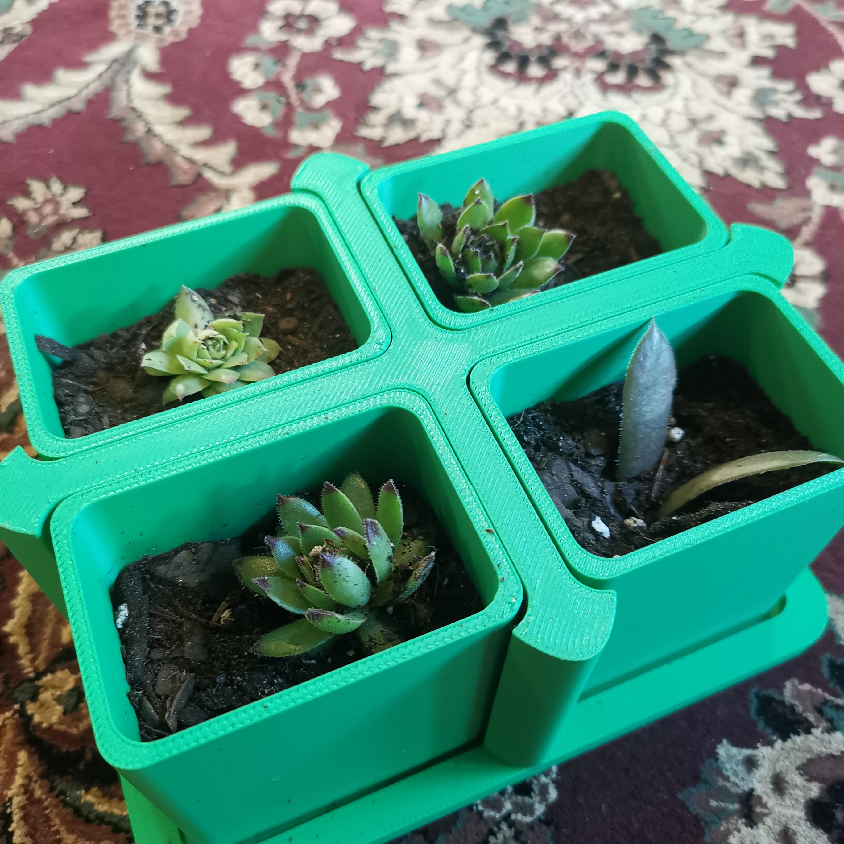 Planter