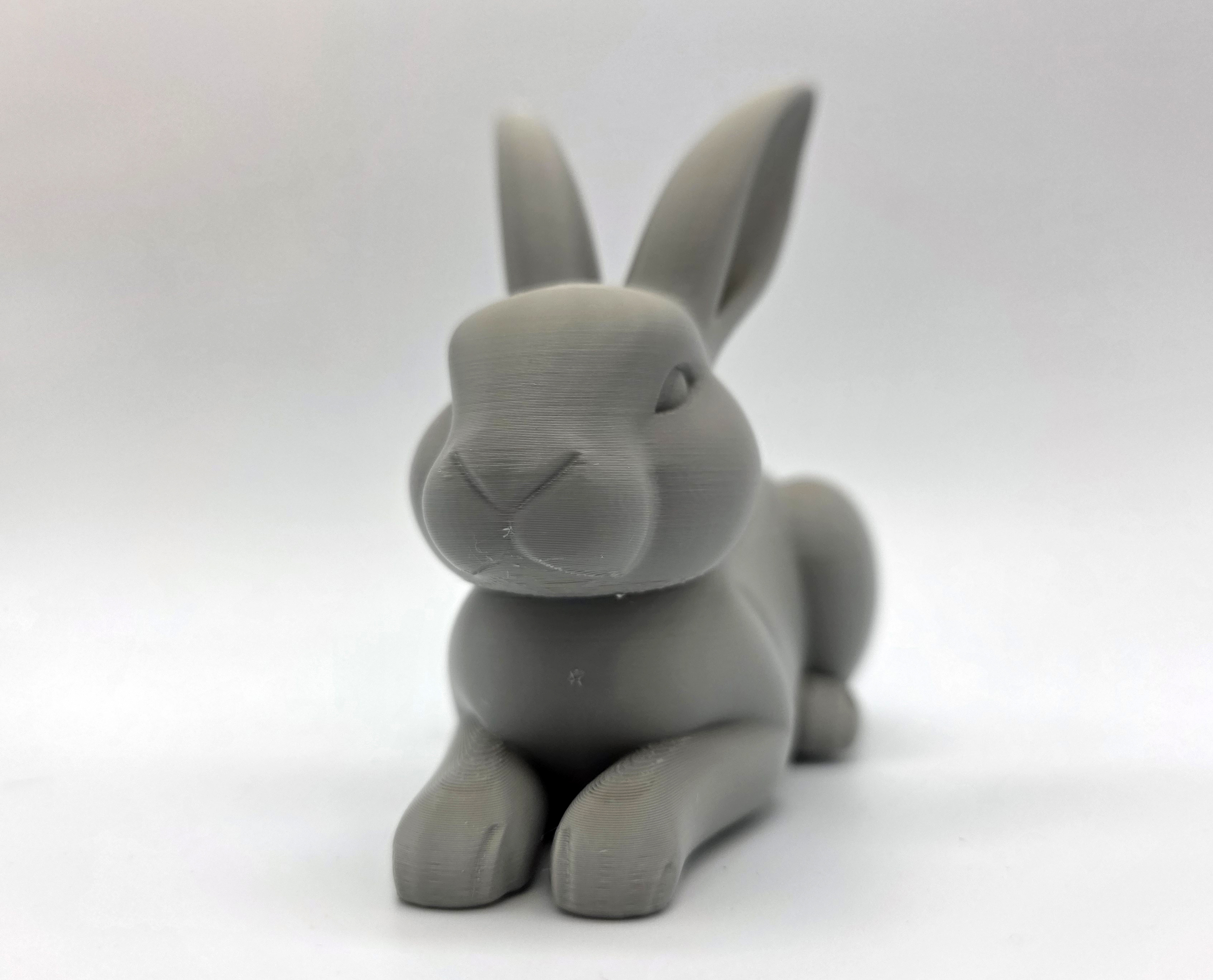 Lay-Down Rabbit — miniatura 6