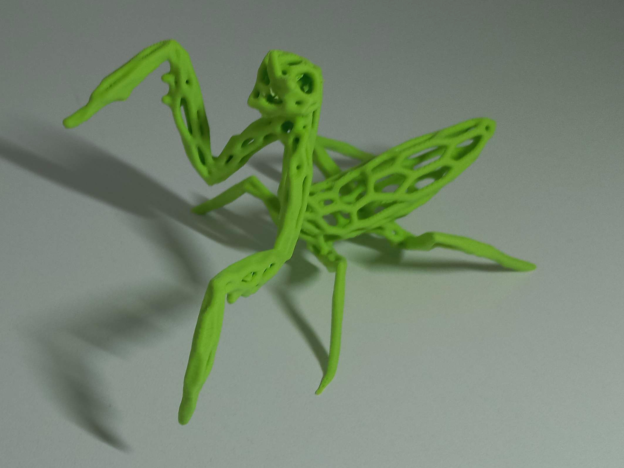 Miniatura 2 do modelo 3D Praying Mantis Voronoi