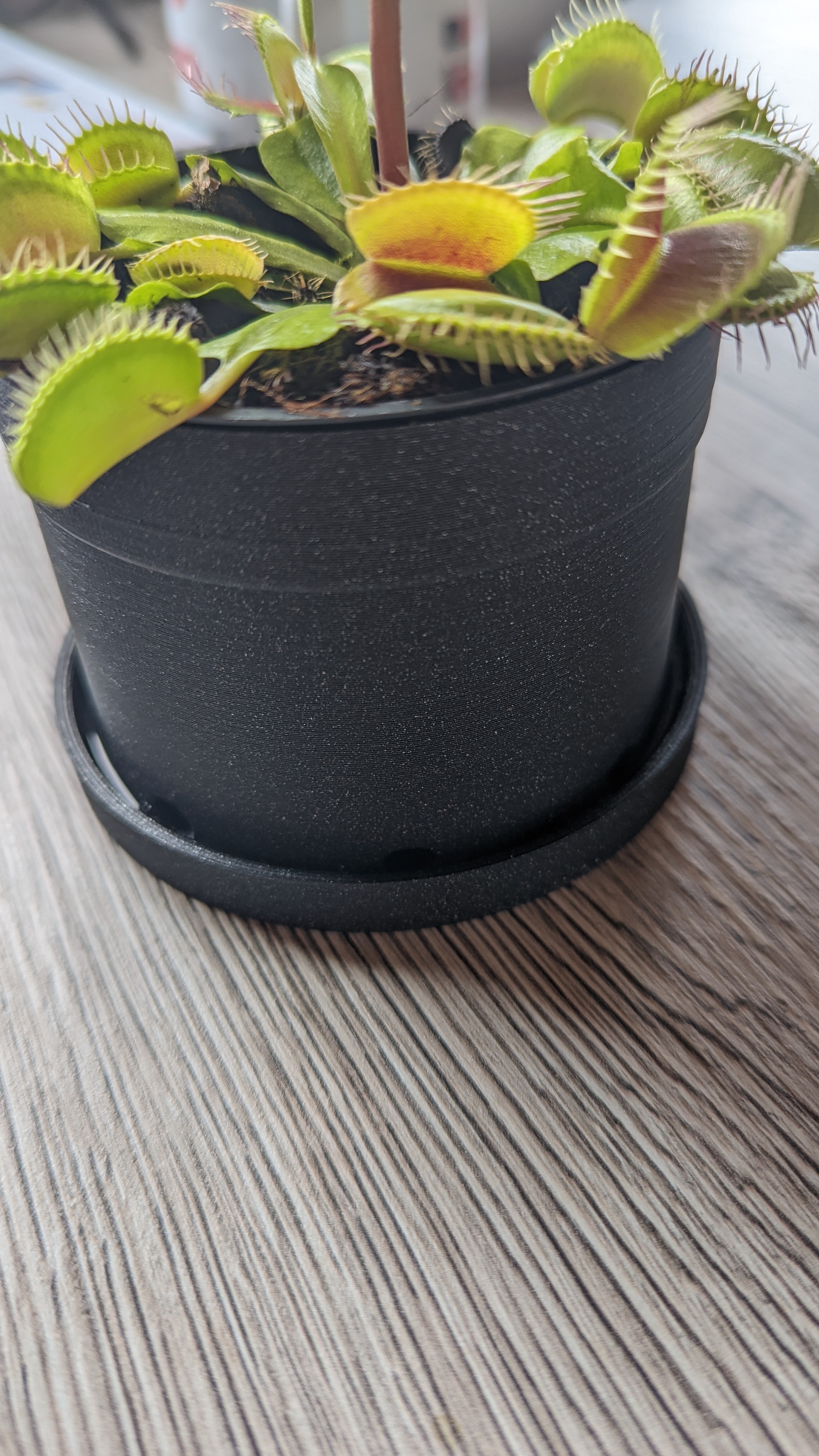 flowerpot