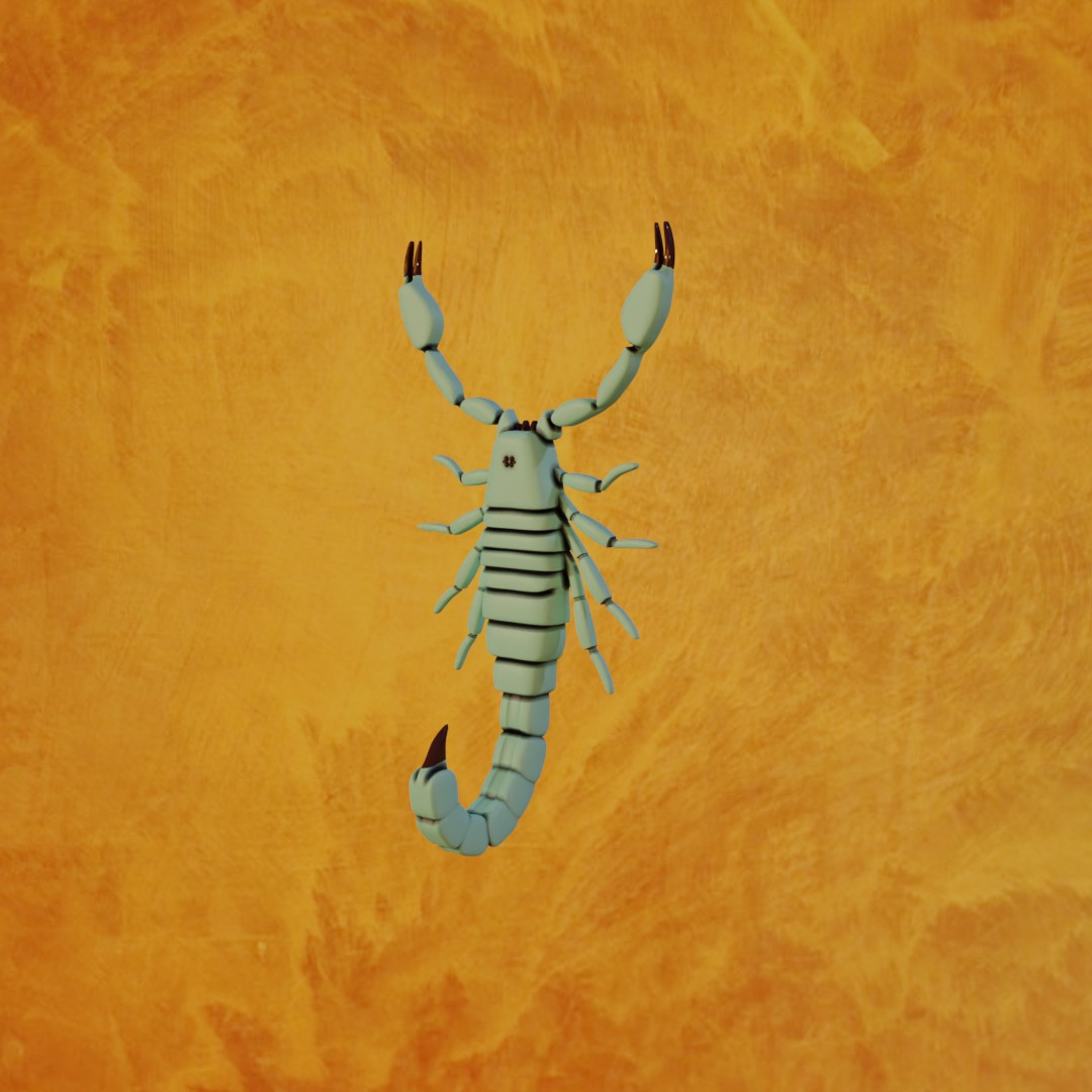 Scorpion wall hook, keyhook