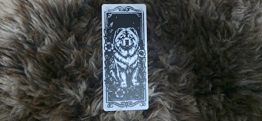 Fluffy Chow Chow Floral Pattern Bookmark