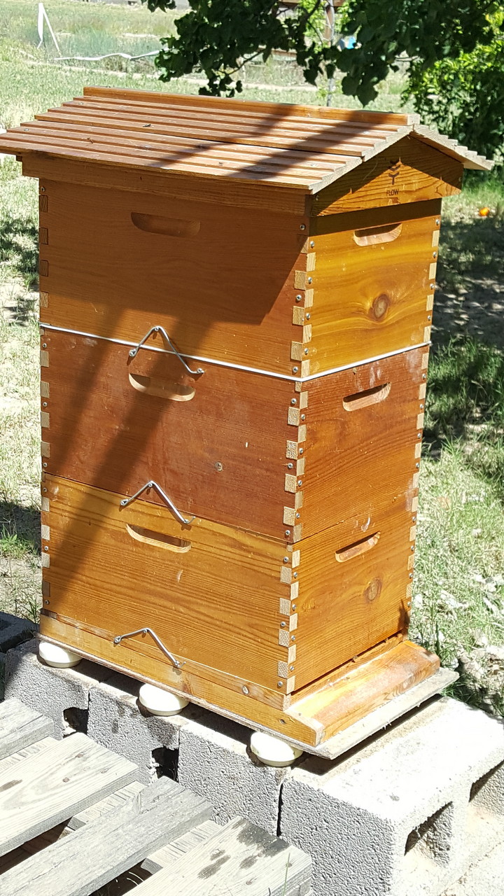 Ant barrier for beehive