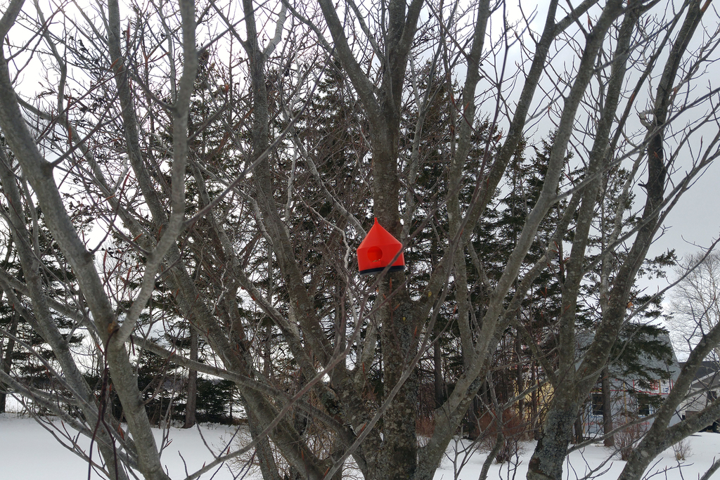 Round Birdhouse with Perch