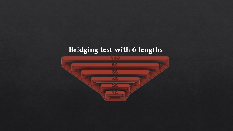 Bridging Test