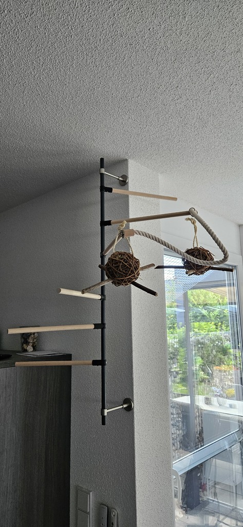 Bird Tree