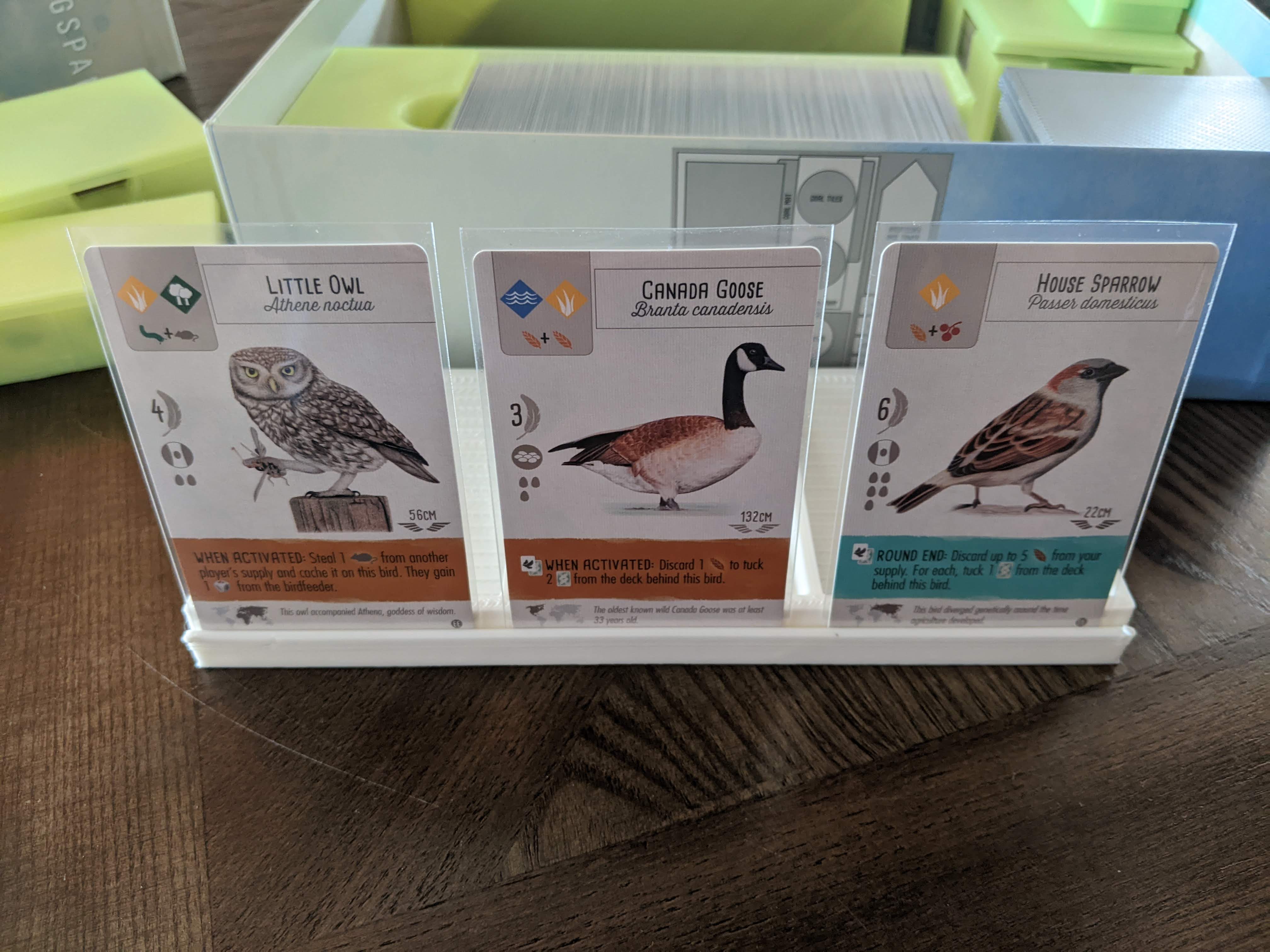 Wingspan Box insert for European, Oceania, and Asia expansions