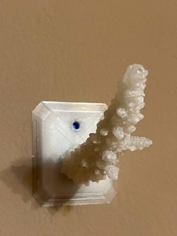 Coral Arm Hanger