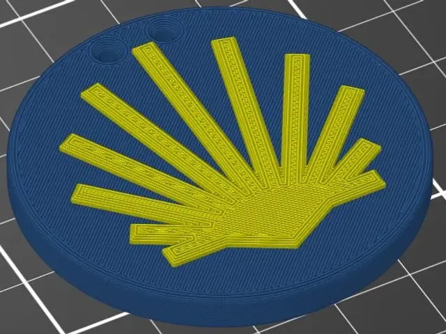 Pilgrims Scallop / Camino de Santiago