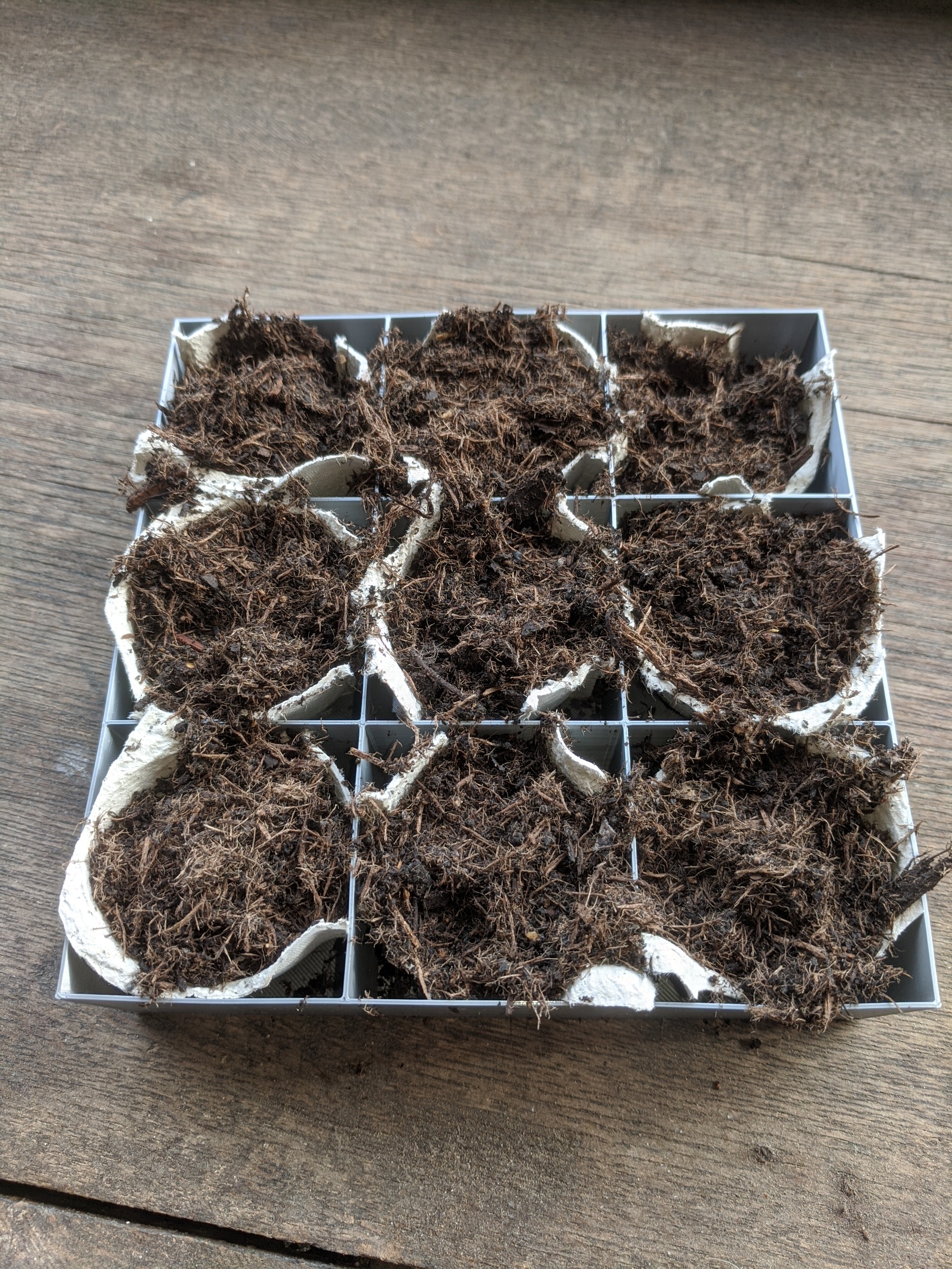 seeding grid — thumbnail 4