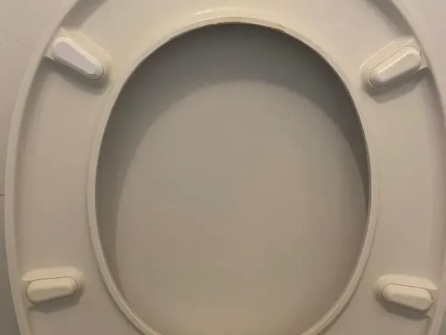 Toilet seat spacer